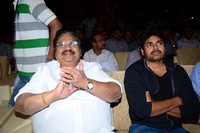 Julayi Audio Launch Photos